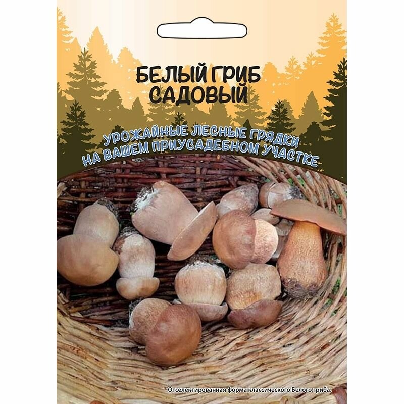 Семена Уральский дачник 