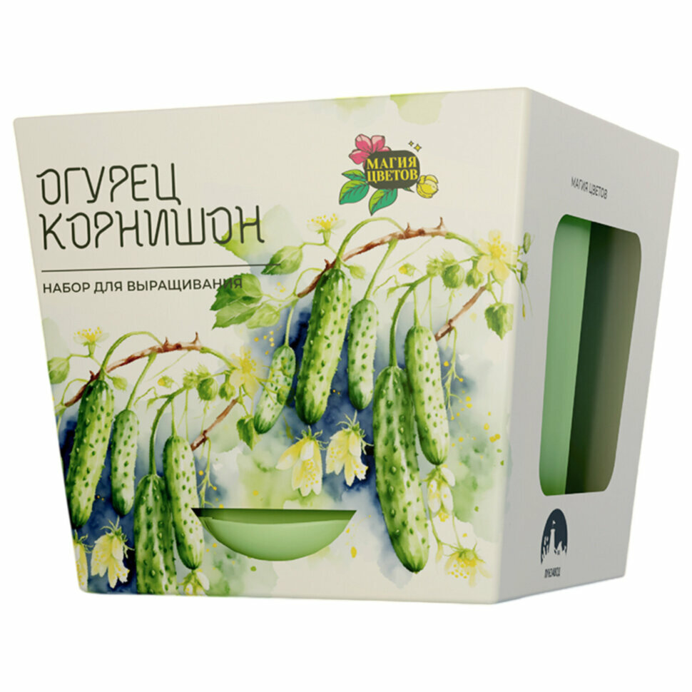 Набор для выращивания растений магия цветов 
