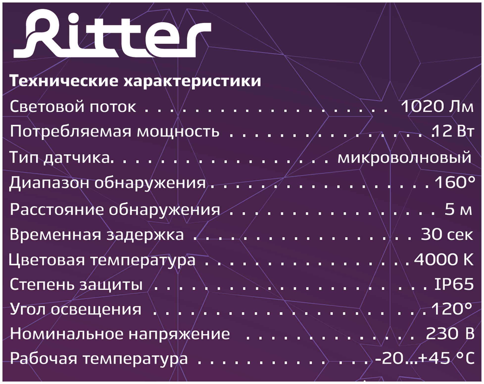 Светильник накладной светодиодный DPP01-12-4K-MWS-O, овал, 165х63х52мм 12Вт 4000К IP65 Ritter 56029 6 - фотография № 5