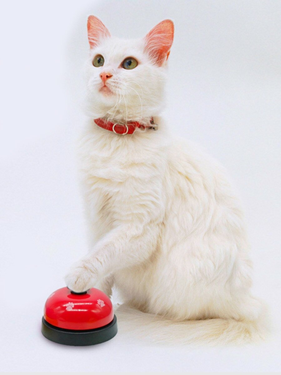 Звонок для собак кошек игрушка для дрессировки отличный подарок - фотография № 2