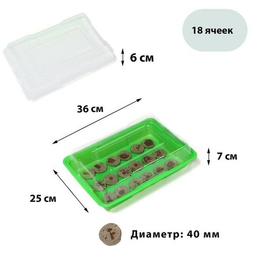 Мини-парник для рассады: торфяная таблетка d = 4,2 см (18 шт.), парник 36 × 25 см, зелёный