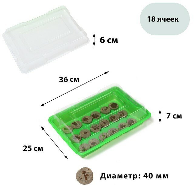 Мини-парник для рассады: торфяная таблетка d = 42 см (18 шт) парник 36 × 25 см зелёный