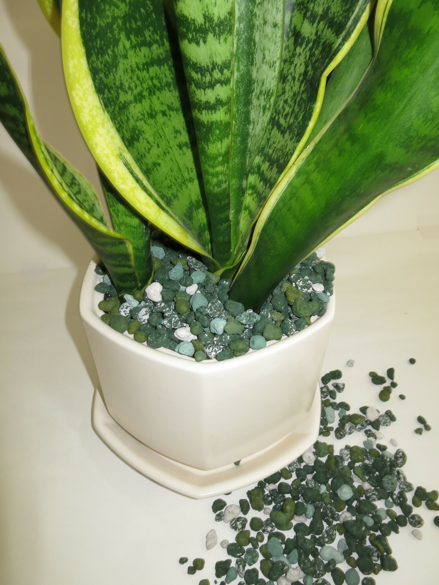 Керамзит декоративный микс зеленый для комнатных растений и цветов. 1 л. Фр. 5-10 мм - фотография № 10