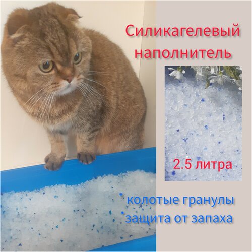 Впитывающий наполнитель силикагелевый для кошек 2,5 л, колотый