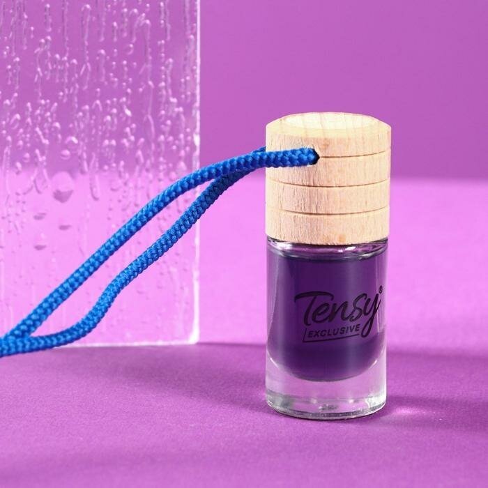 Tensy Ароматизатор подвесной бутылочка Tensy Восторг, 6 мл, TB-21 (цветочно-фруктовый аромат)