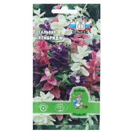 Семена Цветок Сальвия Кэмбридж 01 г 297₽