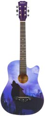 Акустическая гитара Belucci BC3840 (1351) Wolf