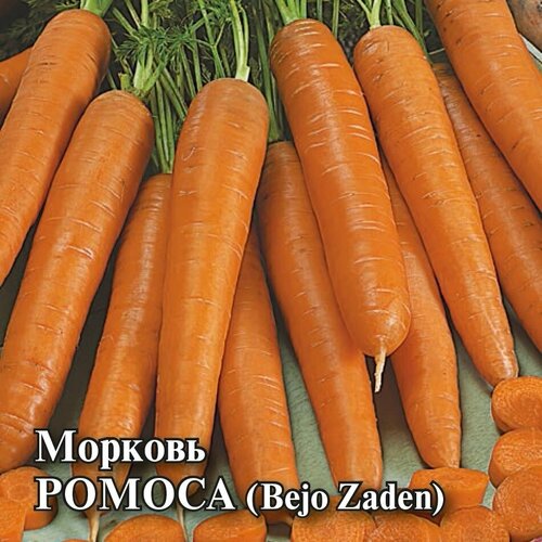 Семена Морковь Ромоса, 25г, Гавриш, Фермерское подворье, Bejo семена морковь ромоса гавриш