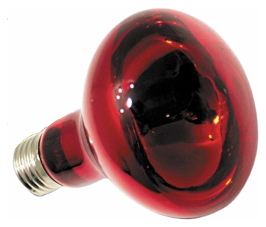 Лампа лампа инфракрасная Repti Zoo ReptiInfrared (63050R) 50 Вт