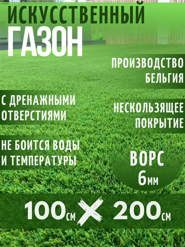 Газон искусственный Ворс 6мм, 2 х 1 (200 х 100 см) в рулоне настил ...