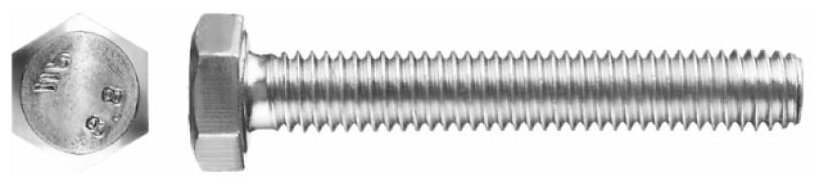 ЗУБР ГОСТ 7798-70, M6 x 20 мм, кл. пр. 5.8, болт оцинкованный, 8 шт (303086-06-020)