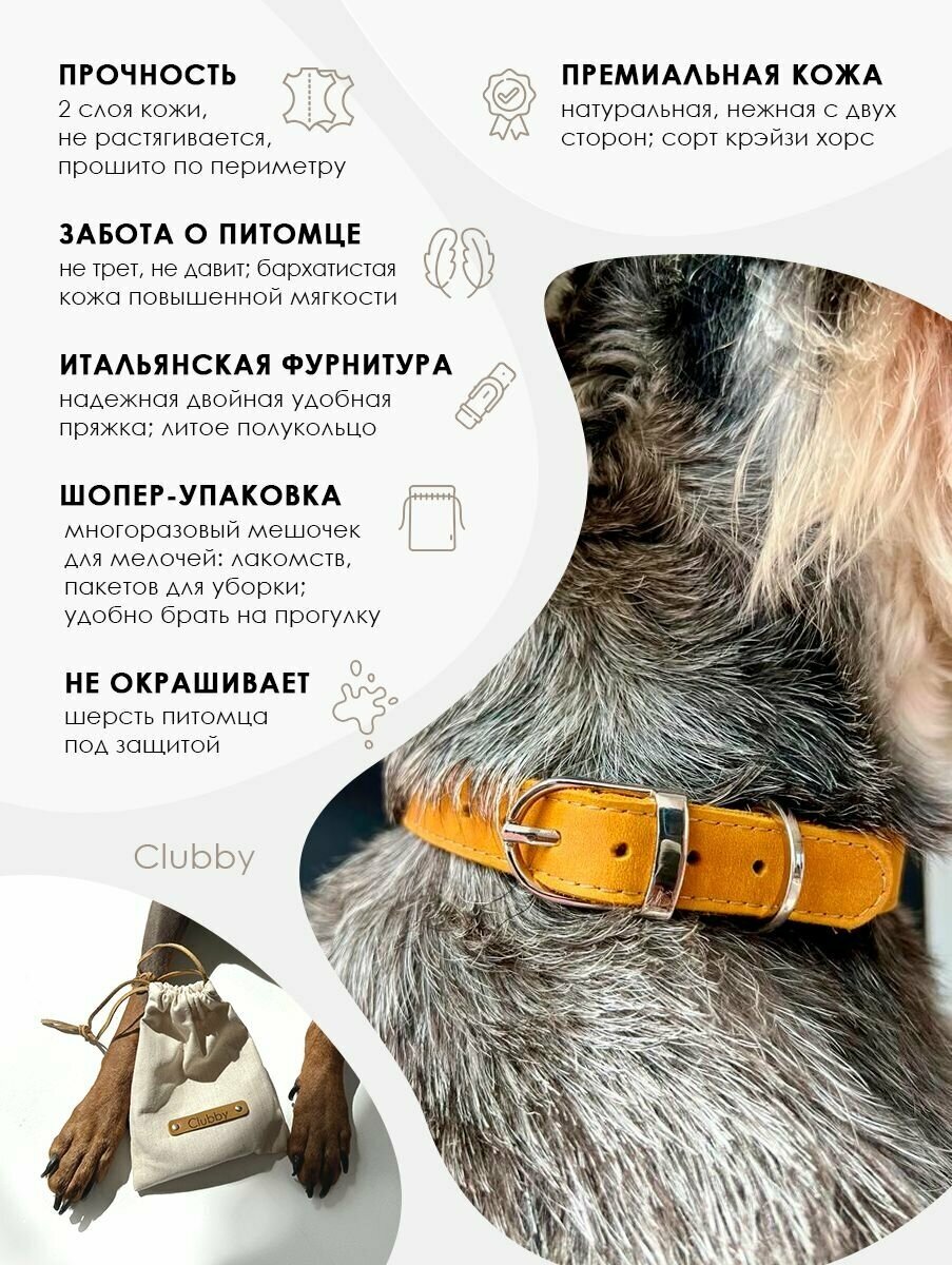 Ошейник для собак Crazy Horse из натуральной кожи 1,5 см шириной для питомцев весом 1,5-5 кг , обхват шеи 20-30 см , цвет фуксия - фотография № 3