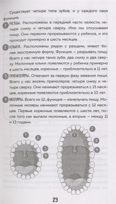 Пищеварение. Все о тесной взаимосвязи между нашим здоровьем и тем, что, сколько и когда мы едим - фото №6