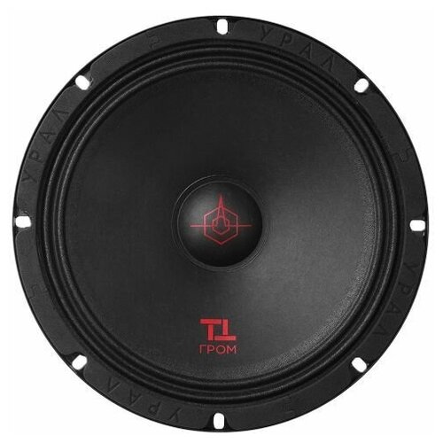 Cч Динамики эстрадные Ural ТТ 200 485800₽