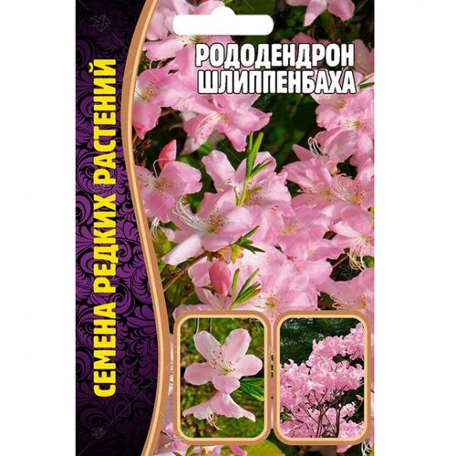 Семена Рододендрона Шлиппенбаха (0,01г) семена красивоцветущего рододендрона шлиппенбаха ф розовая медонос