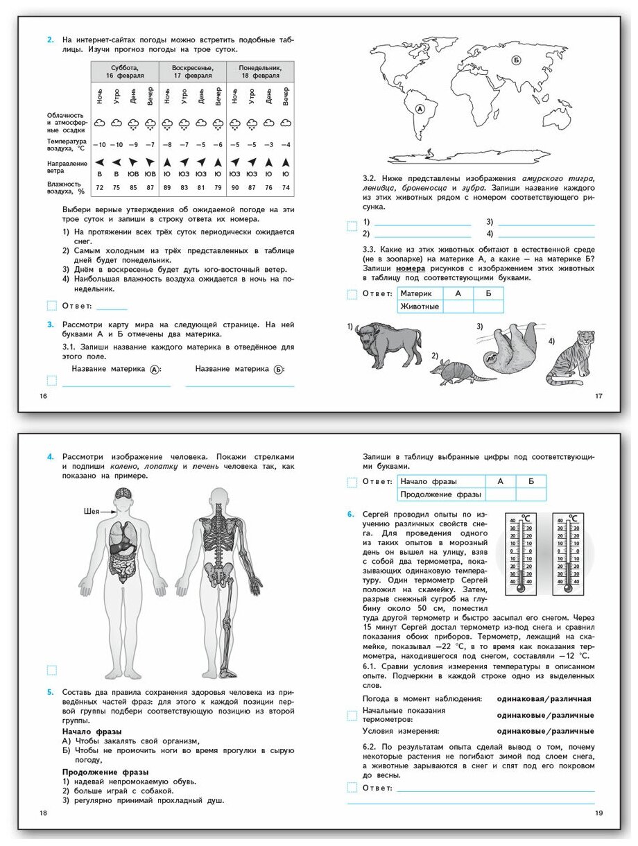 ФИОКО Всероссийская проверочная работа Окружающий мир 4 класс 7 тренировочных вариантов Пособие - фото №8