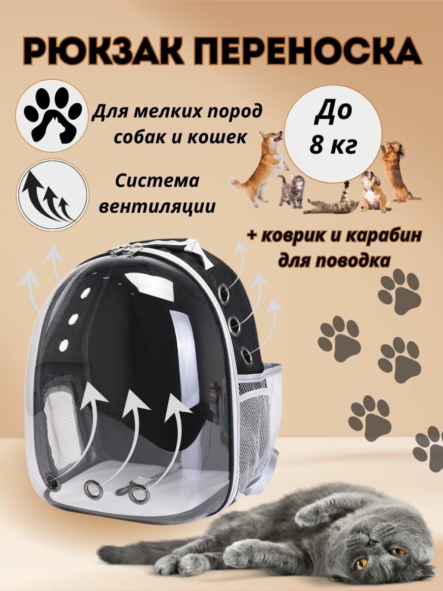 Рюкзак переноска прозрачный для кошек и собак - фотография № 1