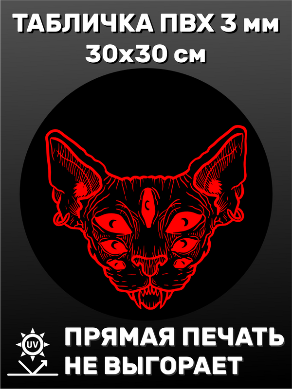 Табличка информационная Кошка демон 30х30 см