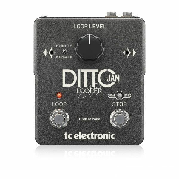 TC Electronic DITTO JAM X2 LOOPER Интуитивный лупер с технологией BeatSense