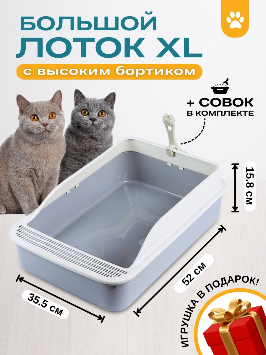 Лоток с...