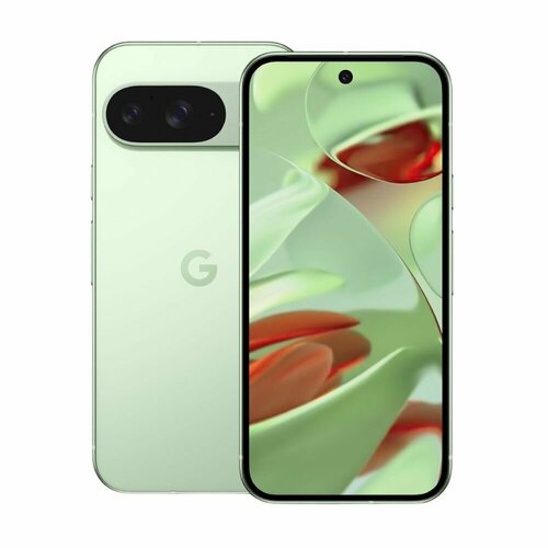 Смартфон Google Pixel 9 12 ГБ128 ГБ Nano-SIM eSIM wintergreen 94990₽