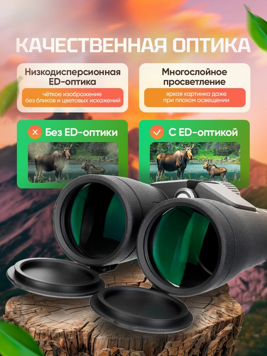 Бинокль Levenhuk Nitro ED 10x50 с качественным изображением — фото 1