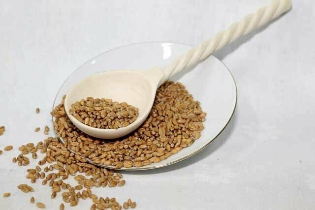 Зерно пшеницы пророщенное целое, 200 гр. - фотография № 2