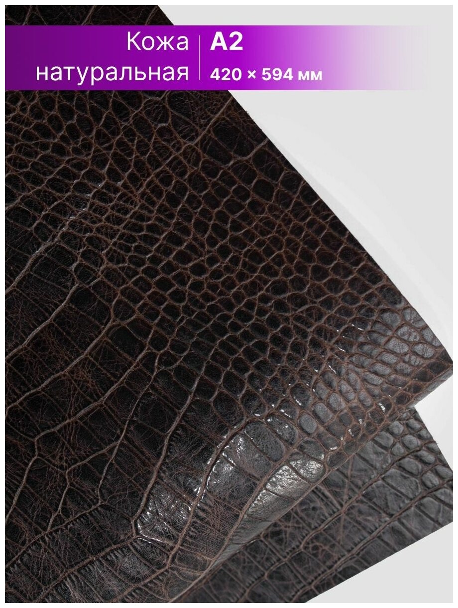 Натуральная кожа для рукоделия с тиснением крокодил размер: А2, Rich Line Accessories , ИП-КРОКОДИЛ2_Коричневый