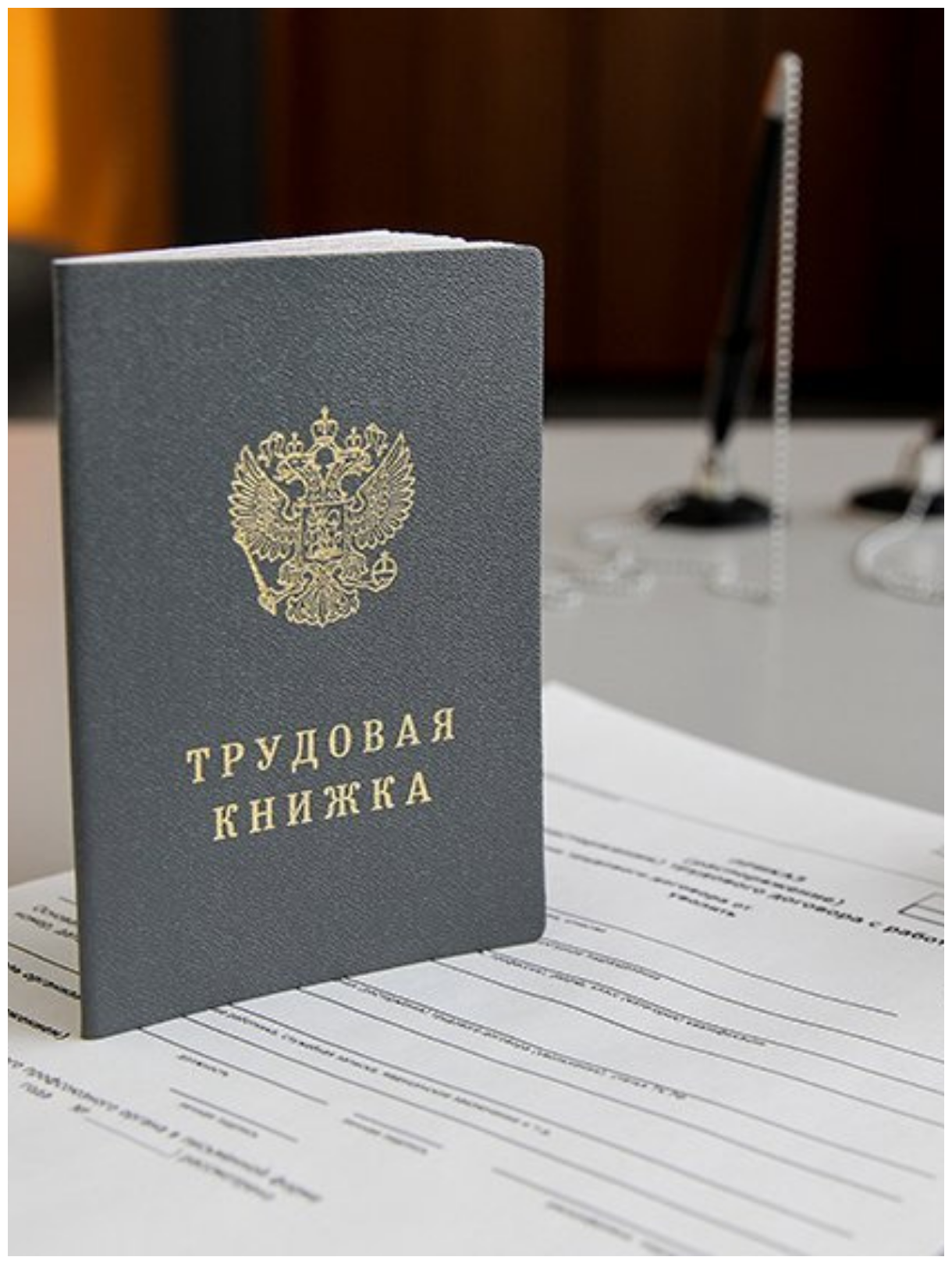 Бланк Трудовая книжка РФ с голограммой серия ТК-VII, Гознак