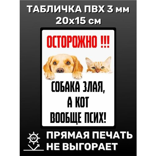 Табличка информационная Осторожно злая собака 20х15 см