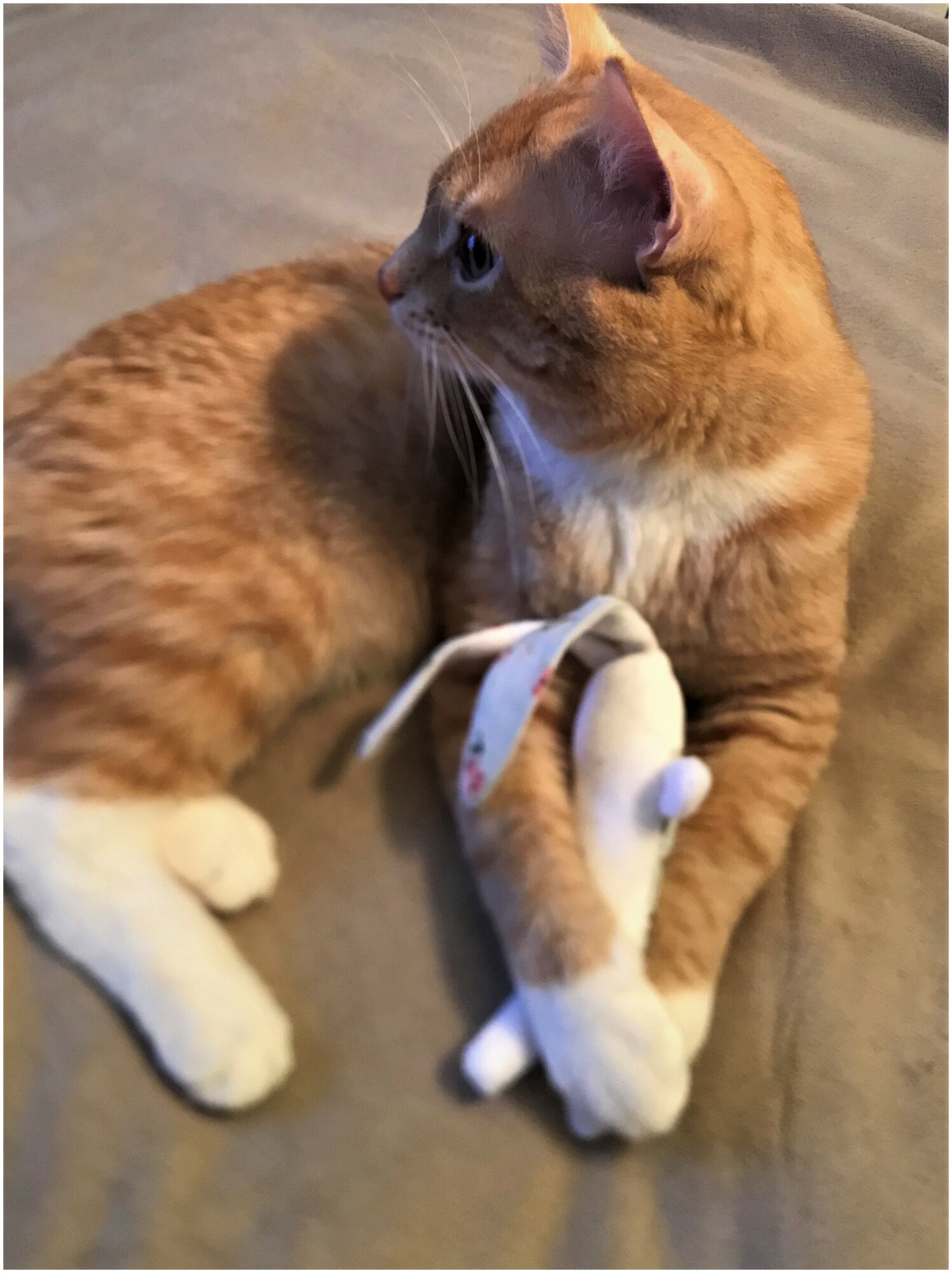 Игрушка для кошек Антейка Зайка длинные уши "Кофе" с кошачьей мятой - фотография № 9