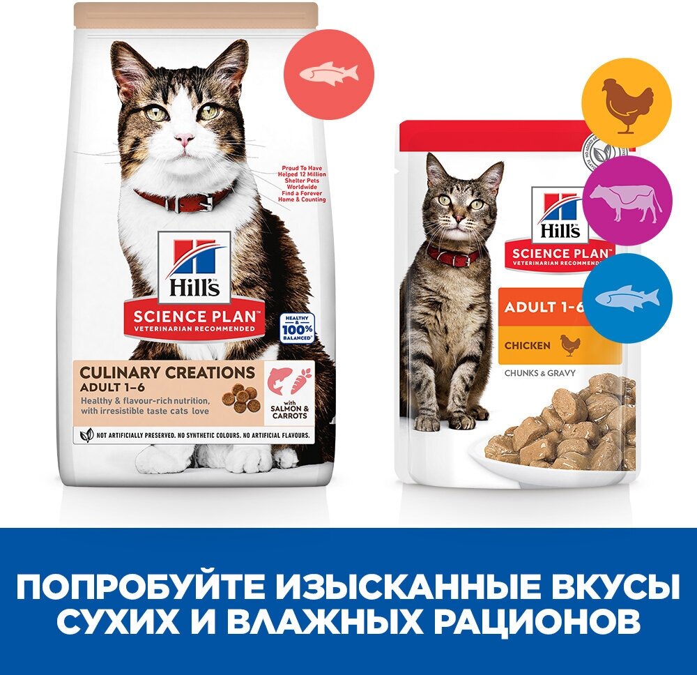 Сухой корм Hill's Science Plan Culinary Creations для взрослых кошек для поддержания жизненной энергии и иммунитета, с лососем и морковью, 10 кг - фотография № 5