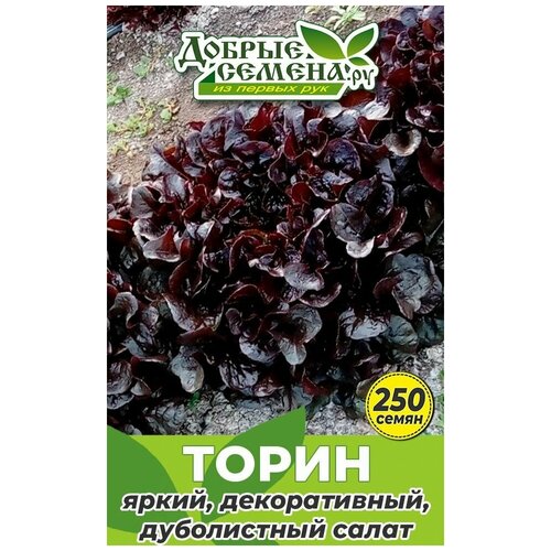 Семена салата Торин - 250 шт - Добрые Семена. ру семена салата торин 1000 шт добрые семена ру