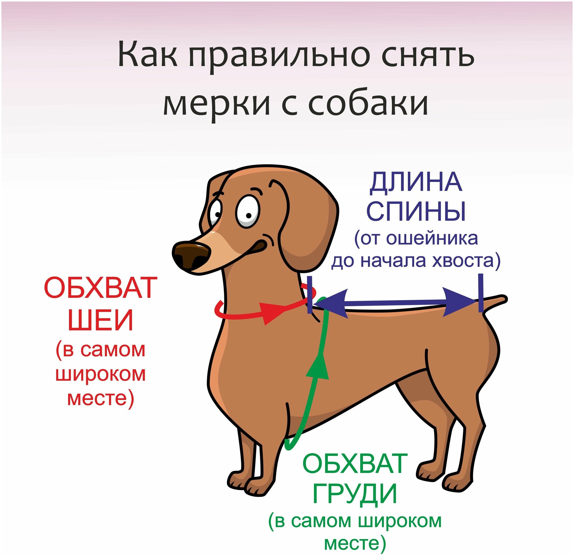 Комбинезон с капюшоном для собаки (мальчика) - фотография № 5