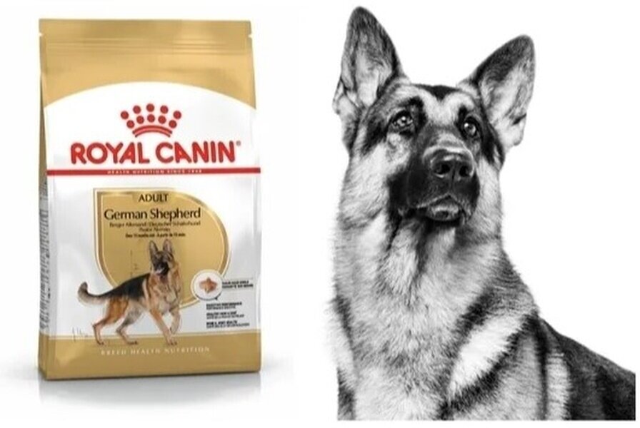 Royal Canin German Shepherd Adult для собак породы немецкая овчарка Курица, 3 кг. - фотография № 7