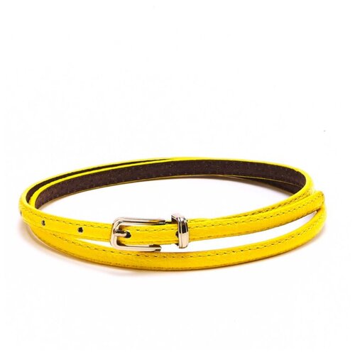 фото Fb-1203-67 желтый ремень fancy's bag jane's story