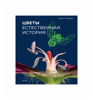 Цветы: Естественная история (Кремер Бруно П.) - фото №2