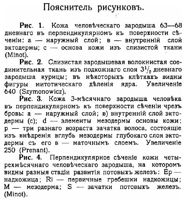 Книга Пояснитель рисунков атласа к Сравнительной анатомии позвоночных животных - фото №6