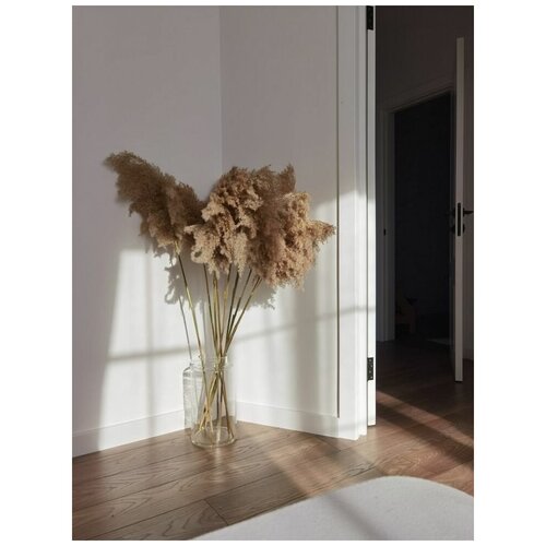 Сухоцветы для декора, камыш натуральный, букет из 25шт