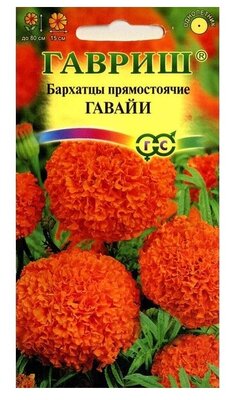 Бархатцы пр. Гавайи 0,3г 80см (Гавриш)