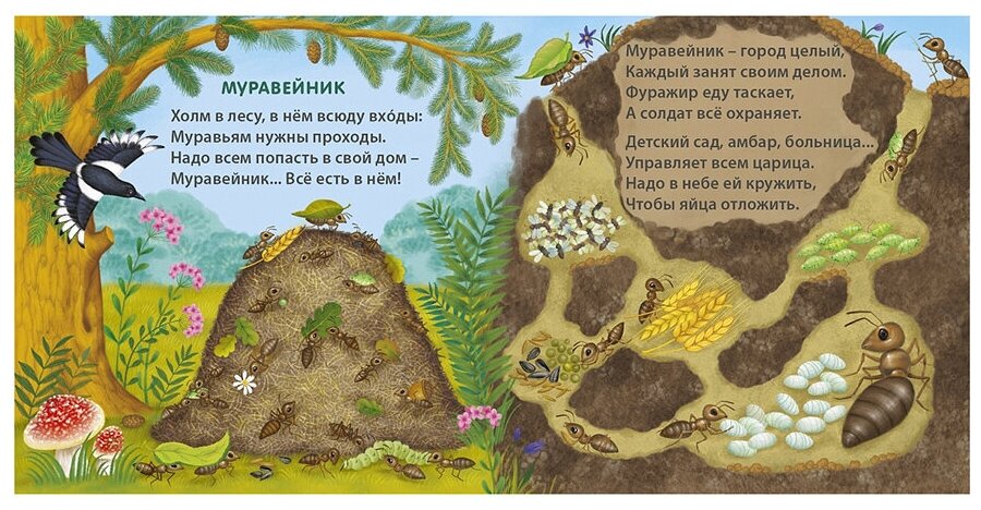 Удивительные дома животных Книжки-картонки - фото №3