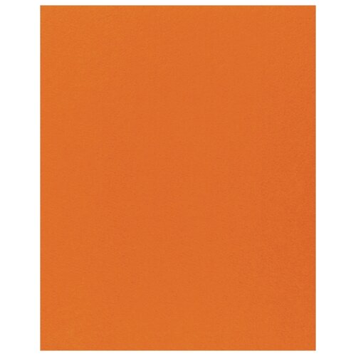 Купить Фетр Rayher моделируемый, размер листа 30 х 45 см (формат А3), толщина 1 мм, цвет: оранжевый