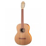 Классическая гитара Kremona S65C-GG Sofia Soloist - изображение