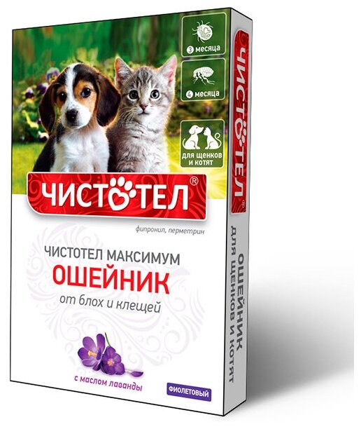 Чистотел Максимум Ошейник для щенков и котят фиолетовый