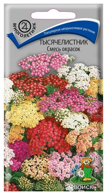 Семена Тысячелистник смесь окрасок 0,1г для дачи, сада, огорода, теплицы / рассады в домашних условиях