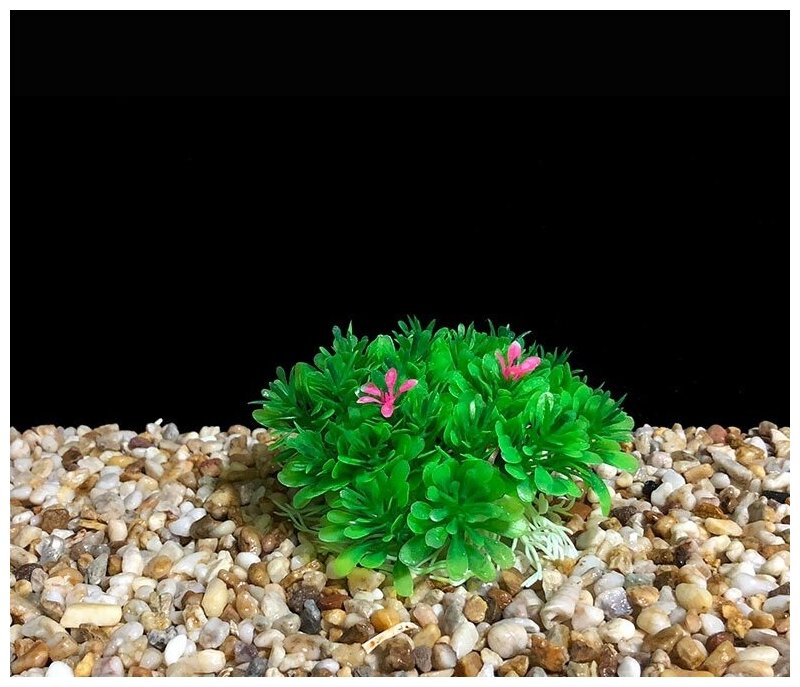 Растения для аквариума и террариума искусственные, декоративные растения для аквариума. Набор из 3 шт. 6 см - фотография № 2