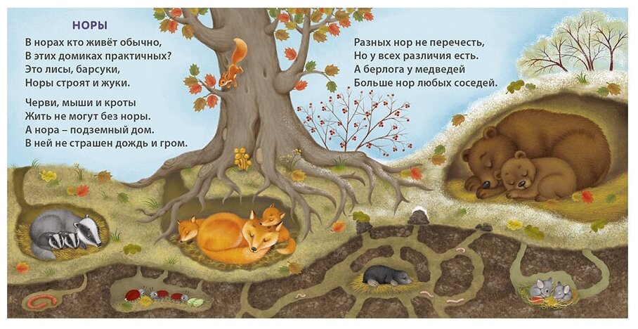 Удивительные дома животных Книжки-картонки - фото №2