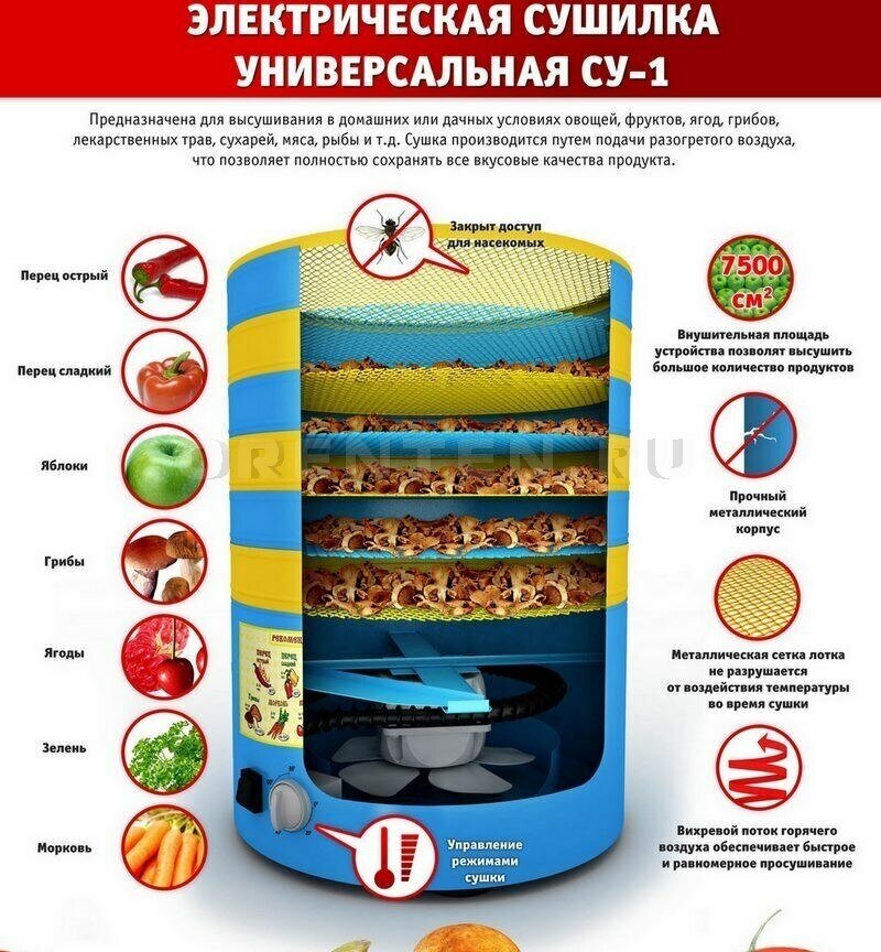 Сушилка овощей и фруктов СУ-1 Элвин (дегидратор)