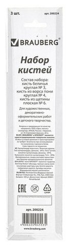 Набор кистей BRAUBERG белка, пони, щетина, с короткой ручкой, №3,4, 3 шт., блистер - фото №7