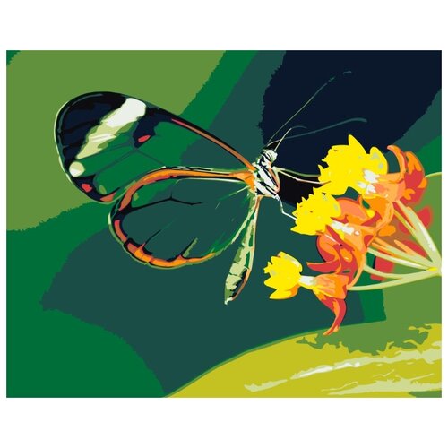 Картина по номерам Изящная бабочка, 40x50 см